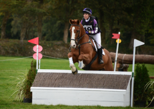 Jane Grace (Push the Button) - EI100 Amateur Winners at Millstreet in September 2014 (Photo: Tadhg Ryan)